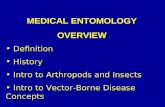 Introduction to Arthropods