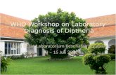 WHO Workshop on Laboratory Diagnosis of Diptheria Labkes