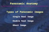 anatomi panoramik