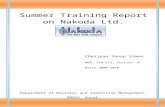 Summer Training Report on Nakoda Ltd