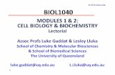 BIOL1040 Modules1&3 CellBiol Biochem Lectorial Sem1 2012 (NEED to PRINT)