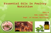 Essential Oils in Poultry Nutrition
