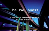 The PwC Audit - 011704 Presentation
