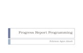 PPT Progress Report Programming