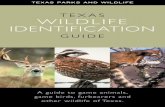 Texas Wildlife Identification Guide