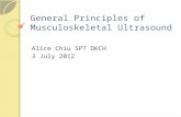 Principles of Musculoskeletal Ultrasound Imaging Updated 3 July 2012