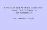 Pol Capdevila - Sensorium, Technology and Aesthetic Experience