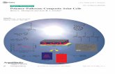 Polymerâ€“Fullerene Composite Solar Cells