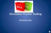 Simulated test marketing