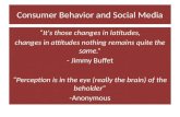 Social media and consumer behavior mulzoff