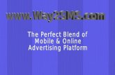 Way2 Sms.Com Media Kit