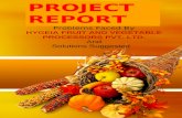 Project Report on A SMALL SCALE INDUSTRY