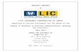 LIC Project Report