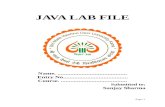 Java Programming Files