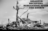 Disaster Recovery: Replanting After the Storm