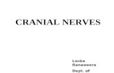 1- Cranial Nerve 5, 6,7