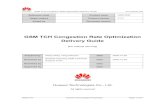 G-GSM TCH Congestion Rate Optimization Delivery Guide -20070902-A-1.0