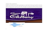 Cadbury Term Paper 2