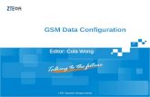 ZTE EMS GSM Data Configuration V1.0