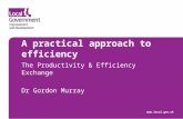 110323 A Practical Approach To Efficiency   The Productivity & Efficiency Exchange