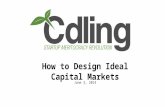 Designing ideal capital markets