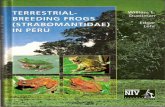 Terrestrial-breeding frogs
