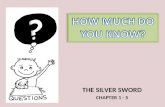Silver Sword Ch 1-5 Quiz