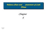 Wiley - Chapter 5: Balance Sheet and Statement of Cash Flows