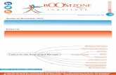 Boostzone Institute - WebReview November 2012