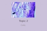 Topic 2: Cells