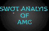 swot analysis of amc