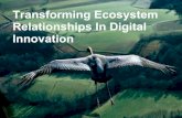 Transforming Ecosystems In Digital Innovation