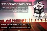Book (Executive Summary) #MacroMesoMicro Systemic Territory Framework from the perspective of Social Innovation