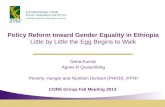 Policy Reform Toward Gender Equality in Ethiopia_N. Kumar and A. Quisumbing_10.16.13