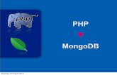 PHP Loves MongoDB - Dublin MUG (by Hannes)