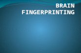 brain fingerprinting ppt