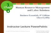 Chapter 10 Human Resources Management and Labor Relations