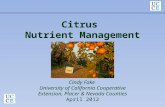 Citrus Nutrient Management