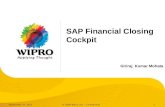 SAP financial Closing Cockpit