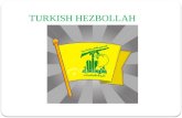 Turkish hezbollah