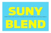 SUNY Blend: an NGLC project