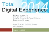 Now What? How to Execute on your Customer Experience Strategy