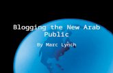 Blogging the New Arab Public by Marc Lynch