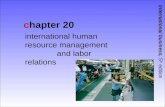 Международное управление человеческими ресурсами и трудовыми отношениями
