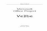 MS Project Vežbe