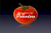 You say Tomato, I say Pomodoro
