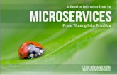 A Gentle Introduction to Micro Services - From Theory into Practice