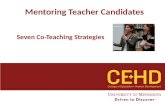 Co-Teaching Strategies