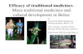 Efficacy of traditional medicines: Maya traditional medicines and cultural development in Belize