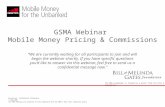 Pricing and commissions Webinar English